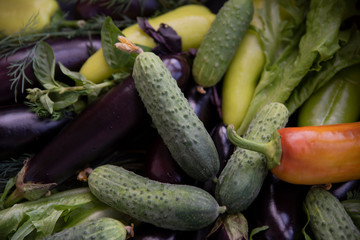 Composition with variety of raw organic vegetables.
