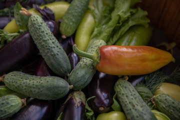 Composition with variety of raw organic vegetables.