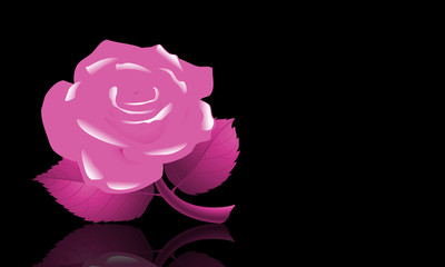 Illustration with a rose on dark background