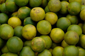 Limes
