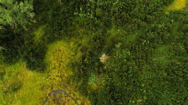 Aerial view of bog lands