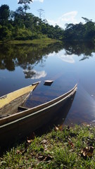 Obraz premium canoa tipica da amazônia afundada em lago