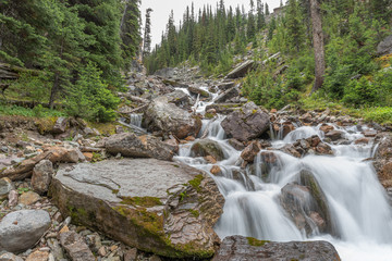 Cascade Lake Creek Flowing in Lake O'Hara Yoho National Park, Canada