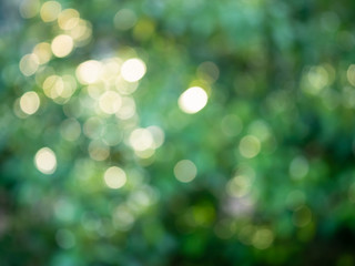 Obraz premium Green bokeh natural background.