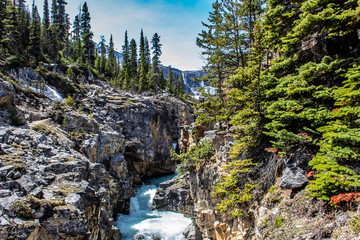 The Canadian Rockies