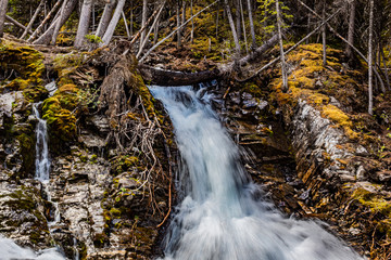 The Canadian Rockies