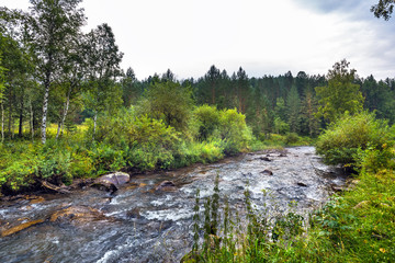 Altai river Kuyum. Gorny Altai, Siberia, Russia