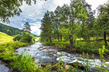 Obraz premium Altai river Kuyum. Gorny Altai, Siberia, Russia