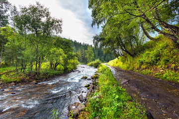 Altai river Kuyum. Gorny Altai, Siberia, Russia