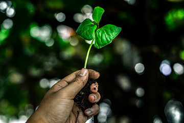 nature in my hand