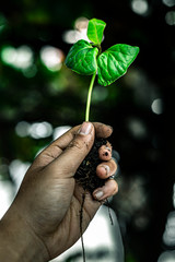 nature in my hand