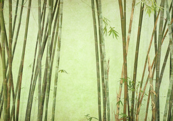 bamboo on old grunge paper texture background