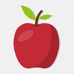fresh apple fruit isolated vector illustration