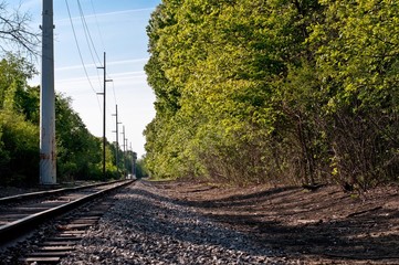 railway in forest
