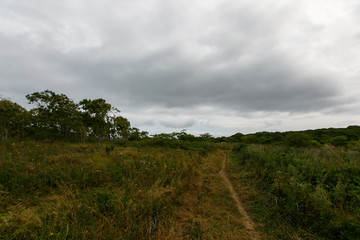 A dirt path in the middle of a green meadow goes into the distance