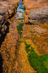 Granite pink boulders and green algae on the coast near Plumanakh..  Pink Granite Beach is a unique place in Brittany. France