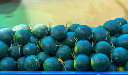 Agricultural produce watermelon are traded on boats at floating markets in the Mekong delta region of Vietnam