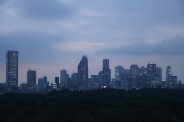 Fototapeta na wymiar 東京 新宿の高層ビル群 夕景　Tokyo skyline at night