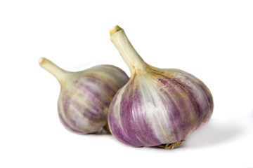 Garlic isolated on white background