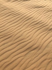 ripples in the sand