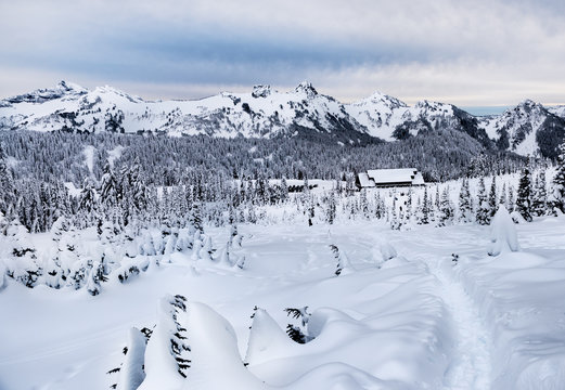 ranier