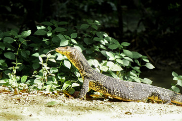 Erawan National Park, Located on West Thailand in the Tenasserim Hills of Kanchanaburi Province
