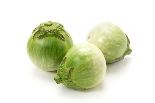 135 Best 小茄子 Images Stock Photos Vectors Adobe Stock