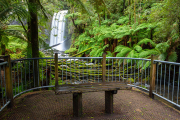 The viewing point of the iconic hopetoun falls in Beechforest on the Great Ocean Road Victoria Australia on 6th August 2019