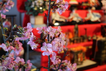 ひな祭りと花