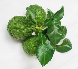 Bergamot and leaf from organic farm
