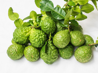 Bergamot and leaf from organic farm