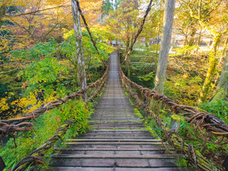 紅葉とかずら橋　足羽川渓谷　福井県