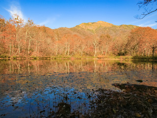刈込池と紅葉（夕方）　福井県大野市