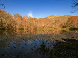 刈込池と紅葉（夕方）　福井県大野市
