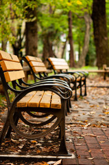 秋のベンチ、側面から