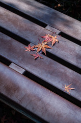 落ち葉の休憩所