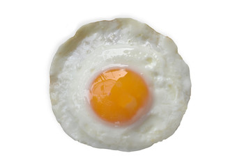 egg isolated on white background