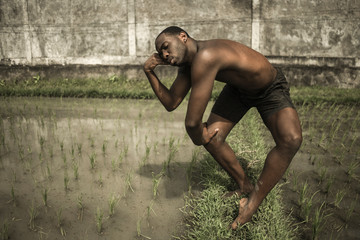Obraz premium young attractive contemporary ballet dancer and choreographer , a black afro American man dancing and posing on tropical rice field background