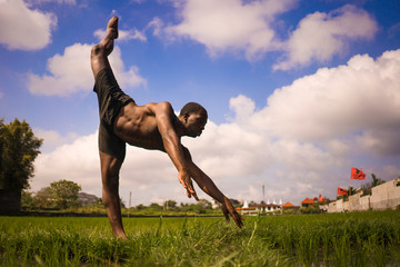 young attractive contemporary ballet dancer and choreographer , a black African American man dancing and posing on tropical rice field background