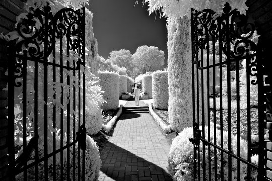 Double Iron Gate And Formal Garden In Infrared 