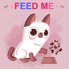 Siamese kitten asks him to feed. Help animals from the shelter.