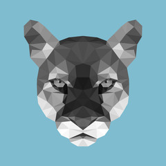 Vector illustration of puma's face consisting of triangles in grayscale. Polygonal style