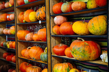 yellow pumpkins on shelf