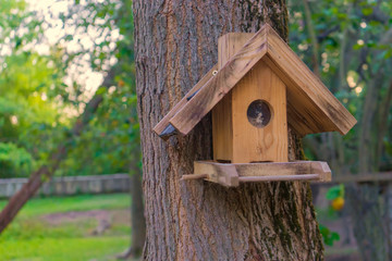 bird feeders. tree house for the birds, cheerful apartment