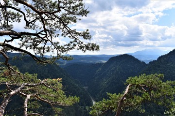 Pieniny