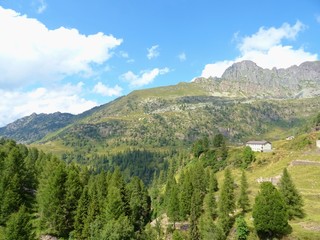 The "Laghi Lakes", in the Orobie Alps: A small valley with pastures, woods and lakes Among the Italian Mountains, near the town of Bergamo - August 2019.