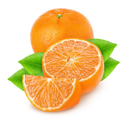 Composition with mandarines isolated on white background.