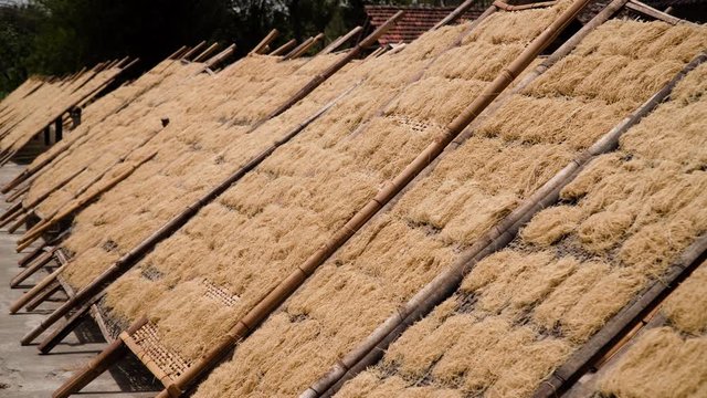 noodle drying in sun at noodle factory in indonesia Bantul, Yogyakarta, Indonesia