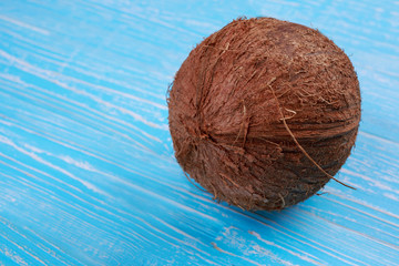 Coconut on aquamarine background