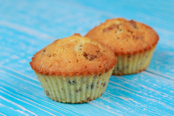 Two cupcakes on aquamarine background